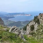 Ape Elbana